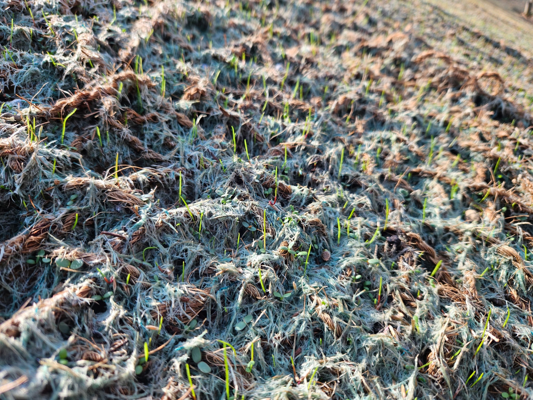 BIO-ARMER hydromulching mat